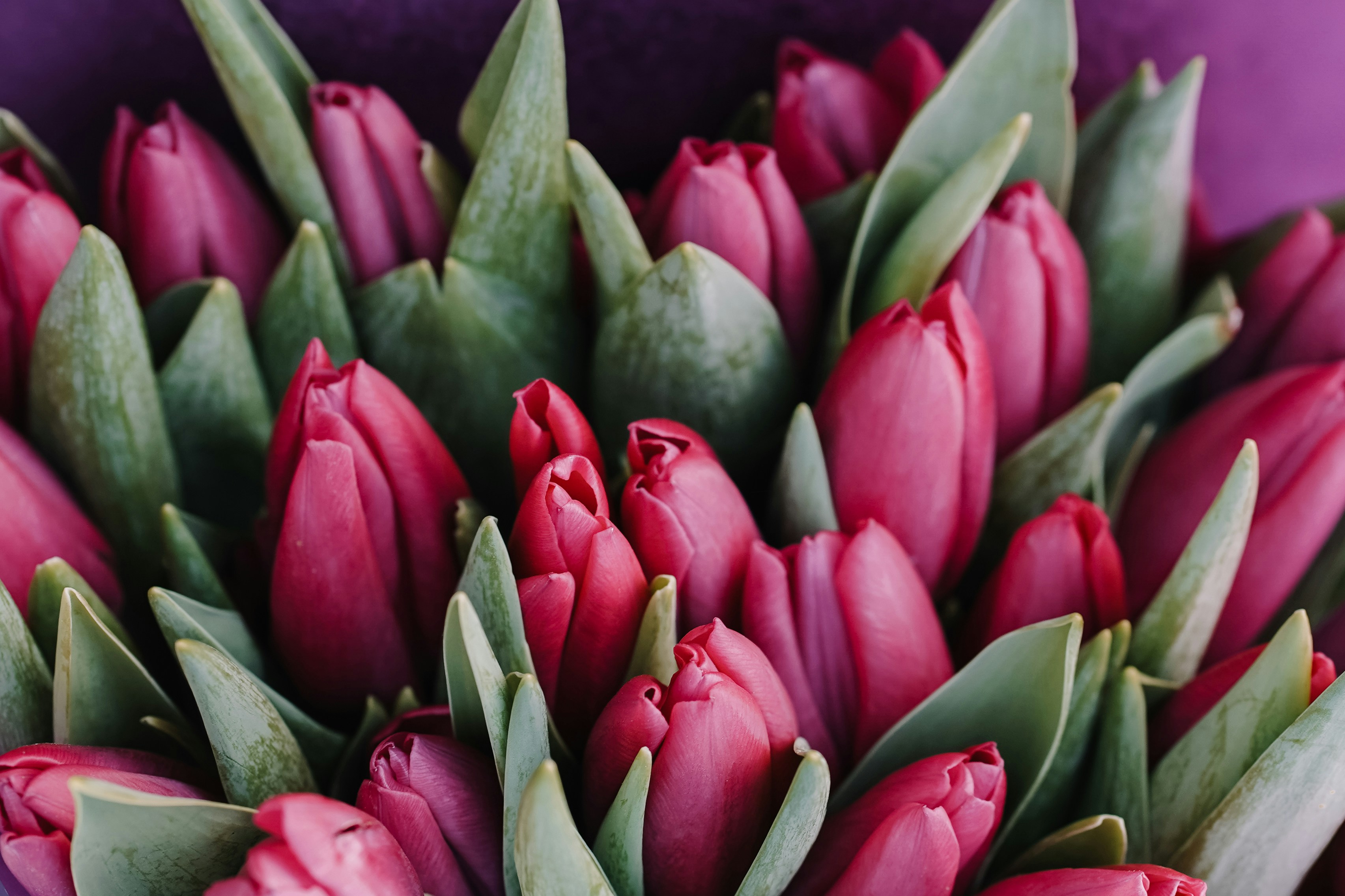 💖Dating in Spring 2026: Why this season will give YOUR online dating a boost 🎯✨